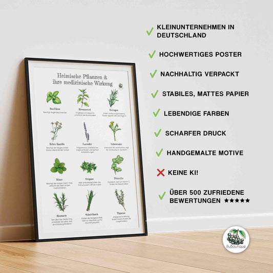 Handgemalte Aquarell-Illustrationen auf dem Heilpflanzen-Poster von illuBoutique. Zu sehen sind detailreich gezeichnete Kräuter und Wildpflanzen mit erläuternden Texten zu ihrer traditionellen medizinischen Anwendung. Die Illustrationen entstehen ohne Einsatz von KI, jedes Motiv wird von Hand mit Wasserfarben gemalt und anschließend matt auf hochwertigem Papier gedruckt, made in Germany von der Künstlerin Kira Klütsch