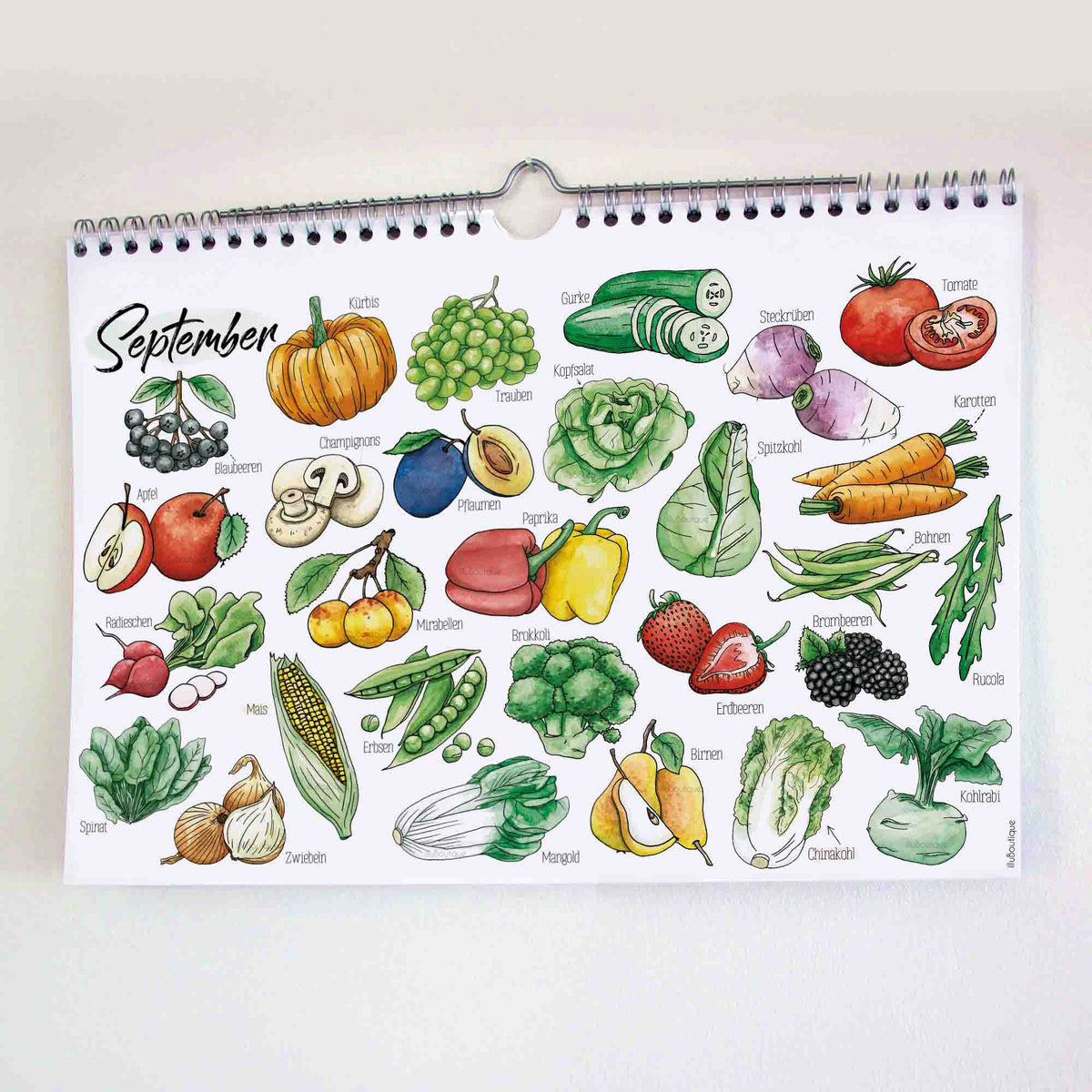Saisonkalender als Aquarellposter mit handgezeichneten Illustrationen von Obst und Gemüse. Zeigt übersichtlich, welche Sorten wann verfügbar sind. Ästhetisch und informativ auf weißem Hintergrund. Ideal für Küche Marktgänger nachhaltiges Geschenk