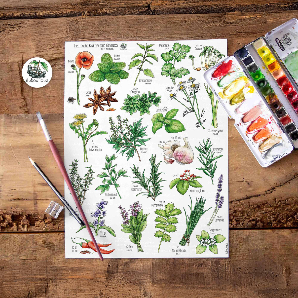 Aquarell-Illustration verschiedener deutscher Kräuter und Gewürze, darunter Minze, Basilikum und Rosmarin, sowie Anis, Knoblauch und Lavendel mit deutschen Beschriftungen und saisonalen Angaben. Eine Aquarellpalette mit Mischfarben und ein Pinsel liegen auf einer Holzoberfläche.