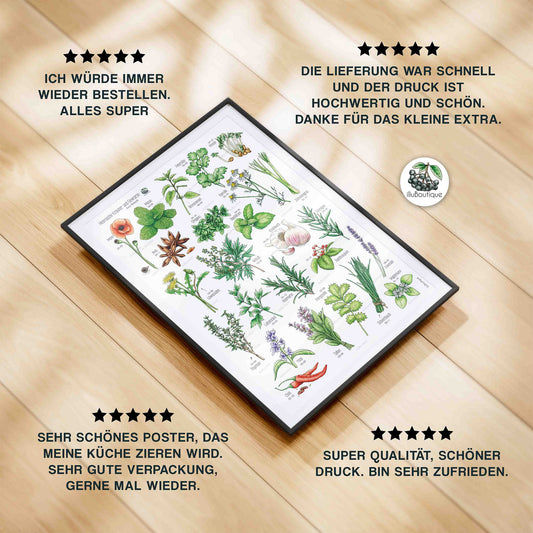 Gerahmtes Poster mit farbenfrohen handgemalten Kräutern und Gewürzen liegt auf einem Holzfußboden. Rundherum sind echte Kundenbewertungen mit fünf Sternen abgebildet. Die Stimmen loben Qualität, Farben, schnelle Lieferung und liebevolle Details. Ideal als Geschenk oder Küchenposter. Liebevoll illustriert. Nachhaltig produziert. Macht Lust auf saisonales Einkaufen oder Kräuter pflücken im Kräutergarten