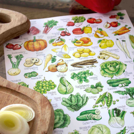 Buntes Obst und gemüse Poster mit gesundem Obst und Gemüse aus Deutschland gemalt von einer deutschen Illustratorin. Neben den Pflanzen sind die jeweiligen Namen und Saisondaten aufgeführt